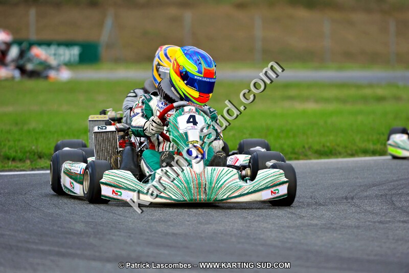 DSC_ (147).jpg